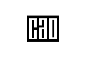 CAO Website Link Logo